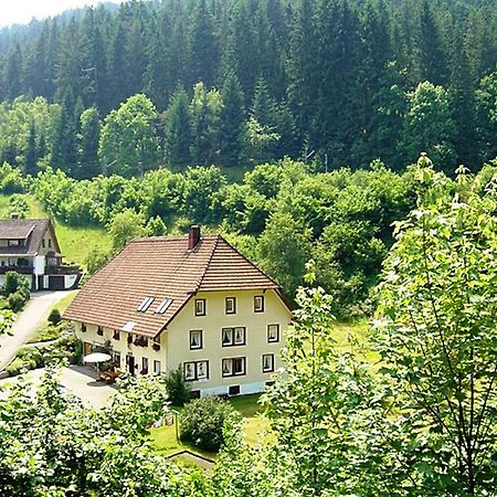 Country Style Flat With Garden Apartment Triberg im Schwarzwald ภายนอก รูปภาพ