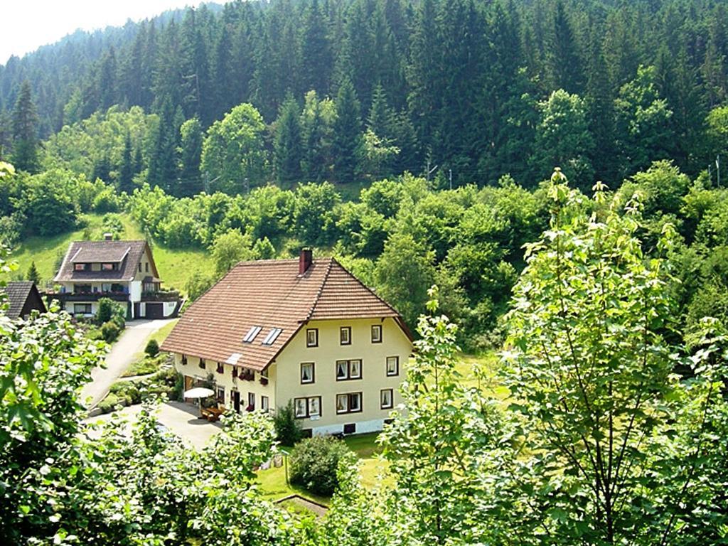 Country Style Flat With Garden Apartment Triberg im Schwarzwald ภายนอก รูปภาพ