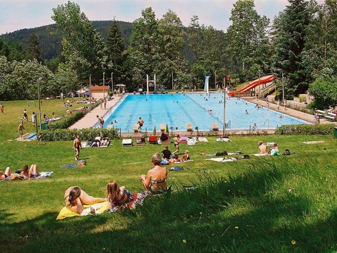 Country Style Flat With Garden Apartment Triberg im Schwarzwald ภายนอก รูปภาพ