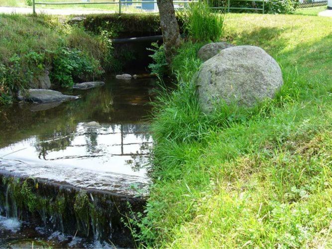 Country Style Flat With Garden Apartment Triberg im Schwarzwald ภายนอก รูปภาพ